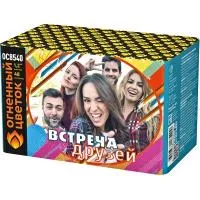 Салют Встреча друзей New ОС8541 в Красногвардейском доставка Огненный Цветок
