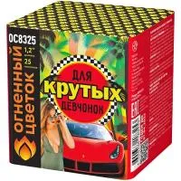 Салют Для крутых девчонок New ОС8326 в Красногвардейском доставка Огненный Цветок